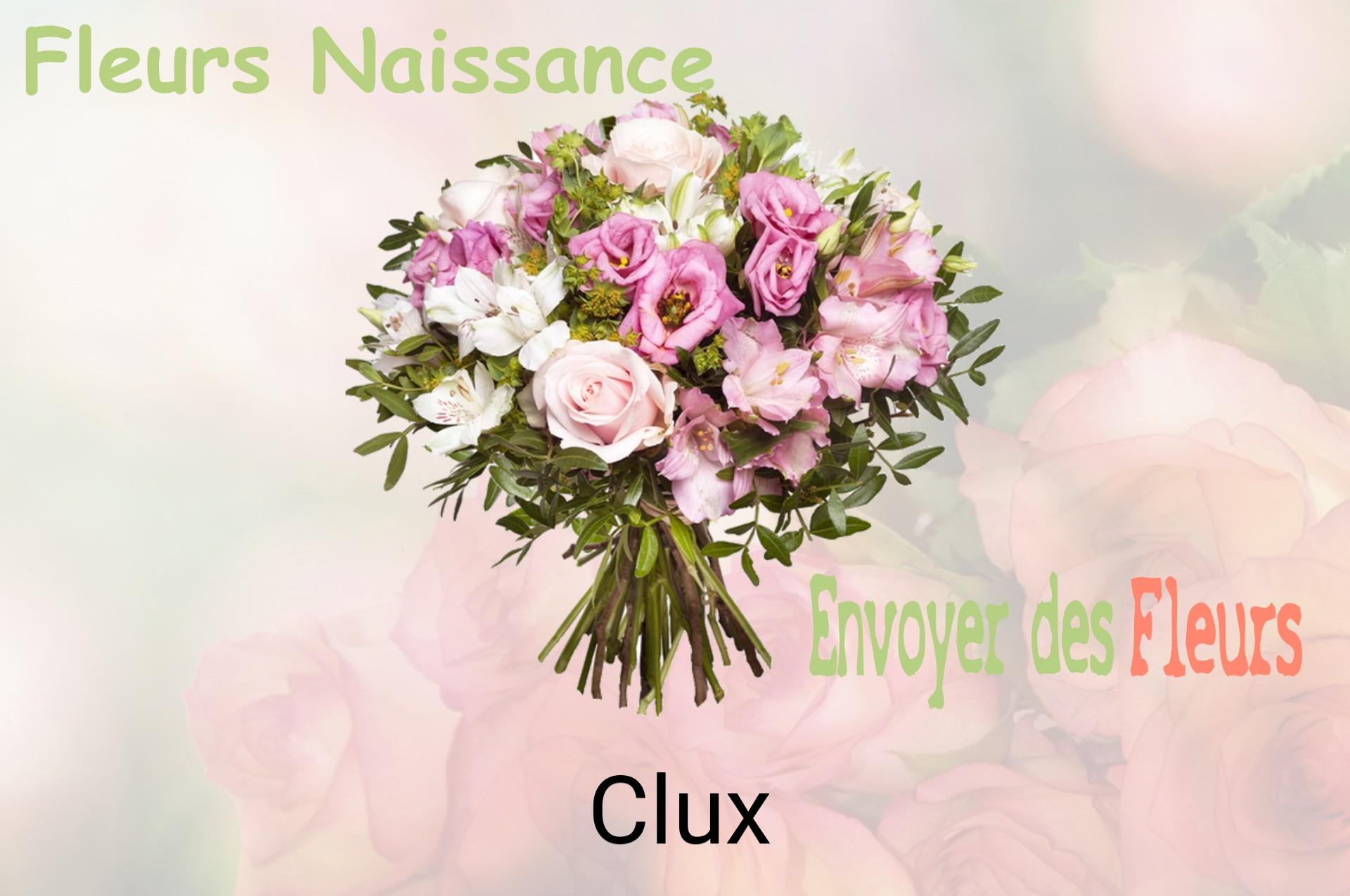 Bouquet de fleurs de naissance livré à Clux