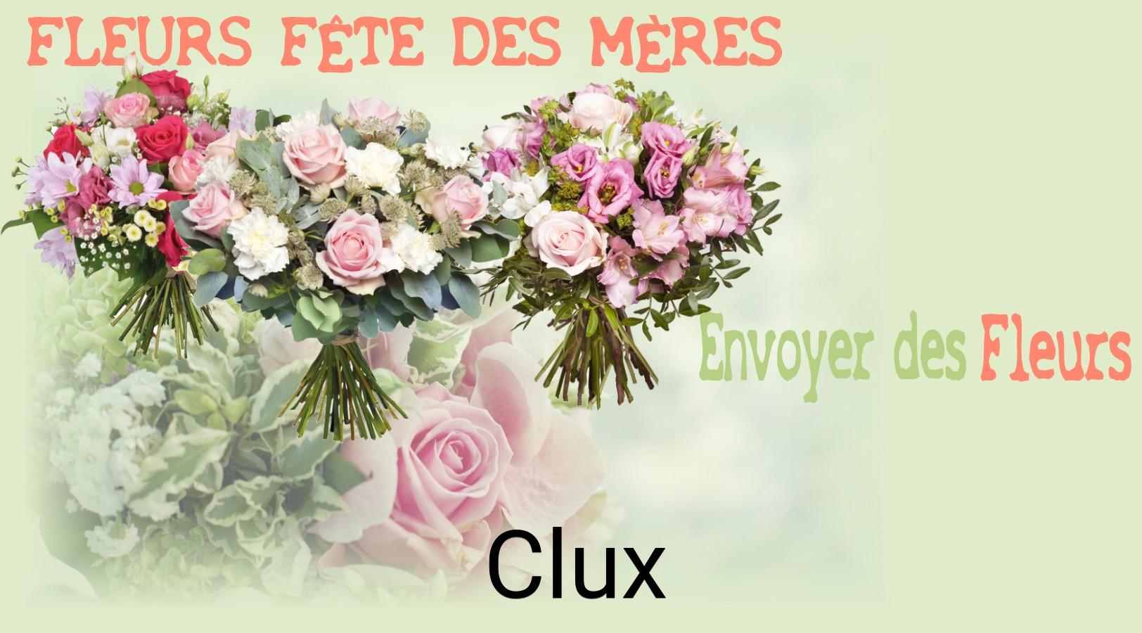Bouquet de Fête des Mères livré à Clux